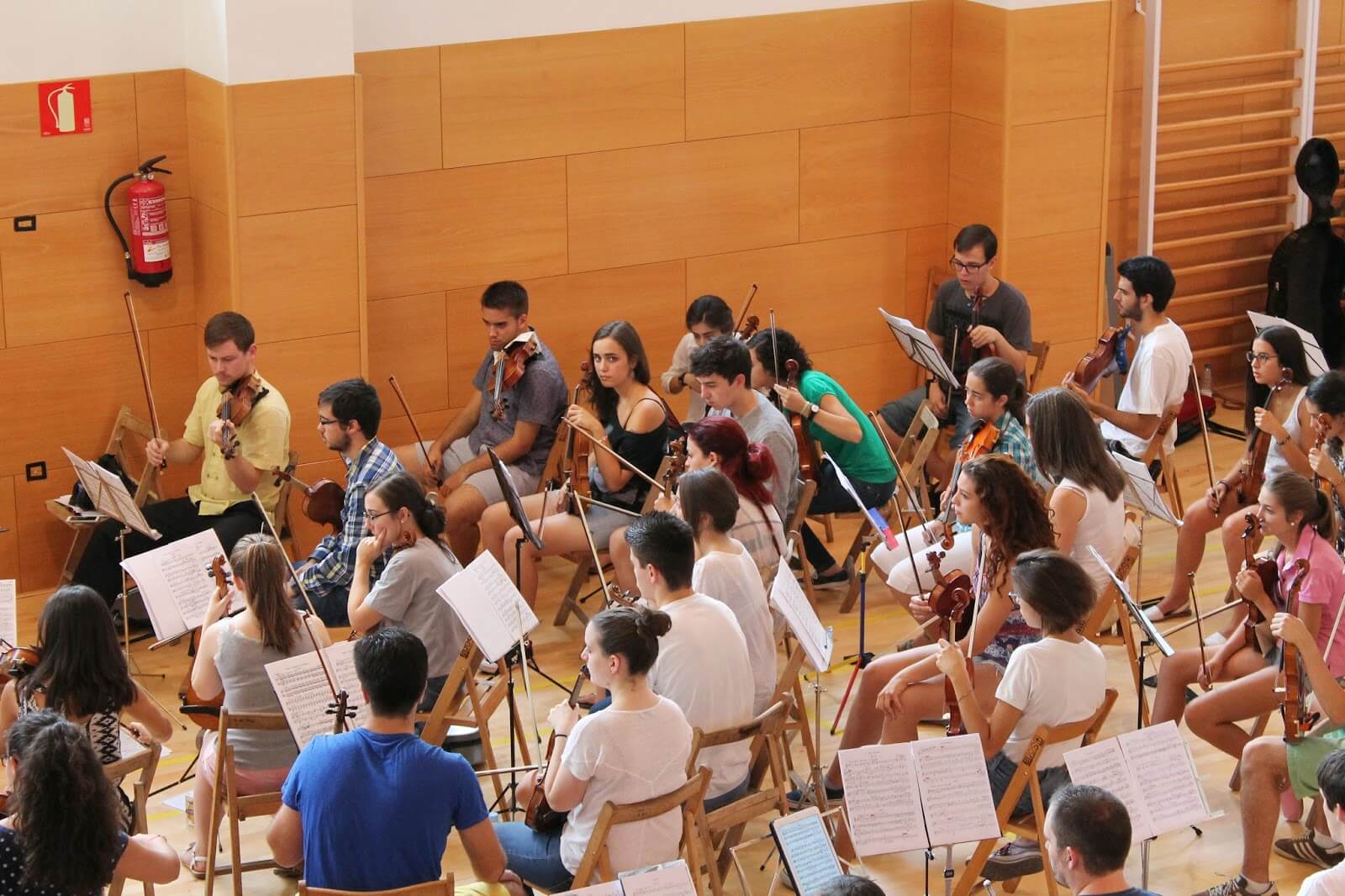 joven-orquesta-sinfonica-soria-3