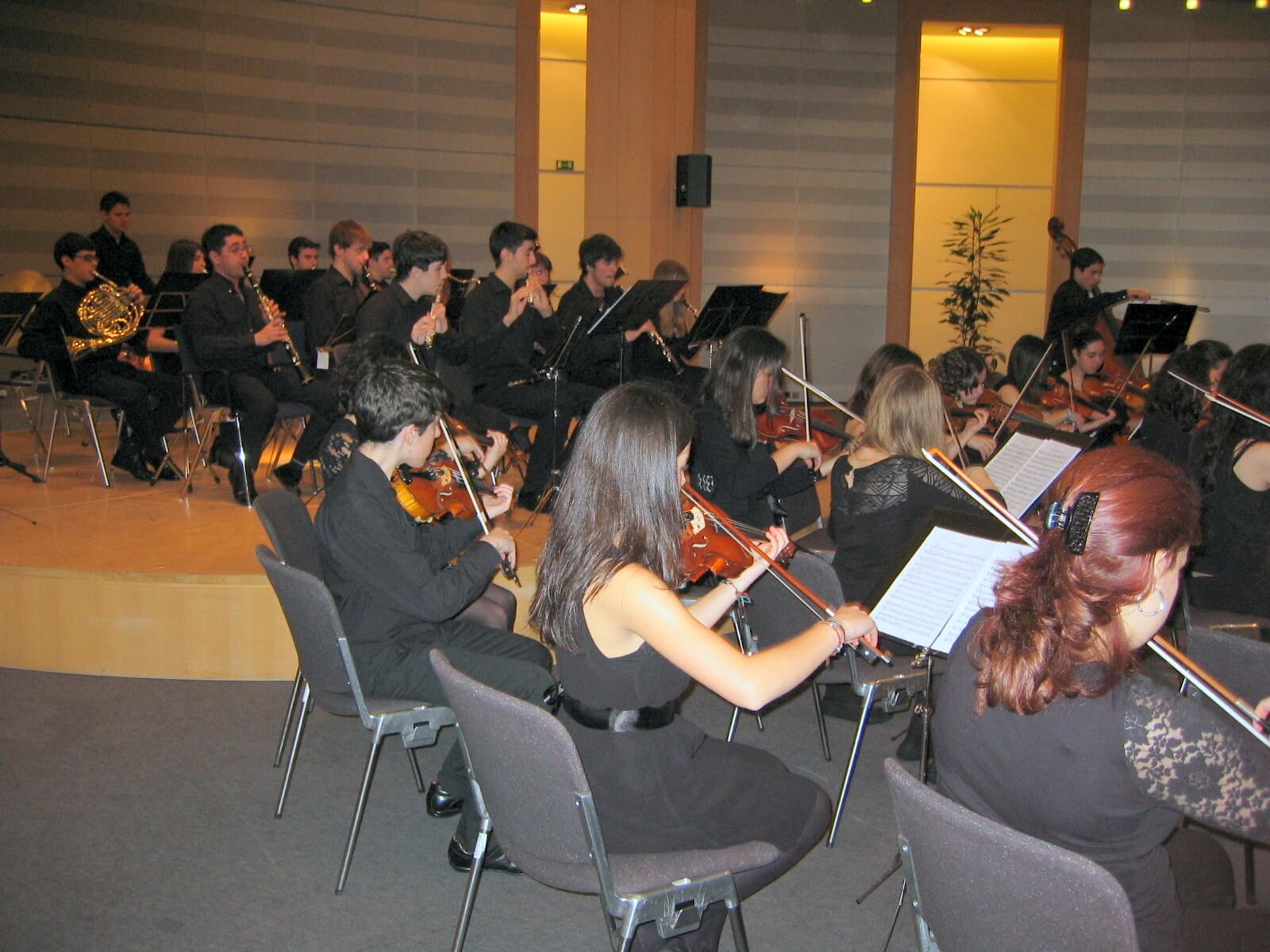 joven-orquesta-soria-escuela-musica-parlament-europeo (12)